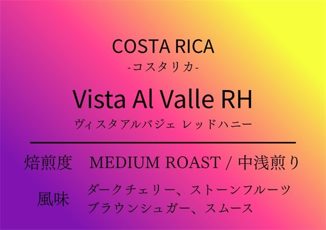 コスタリカ ヴィスタアルバジェ（シングルオリジン）