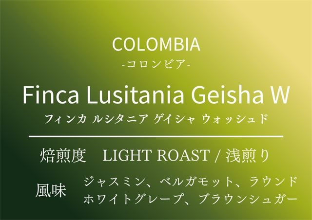 コロンビア ルシタニア ゲイシャ（シングルオリジン）